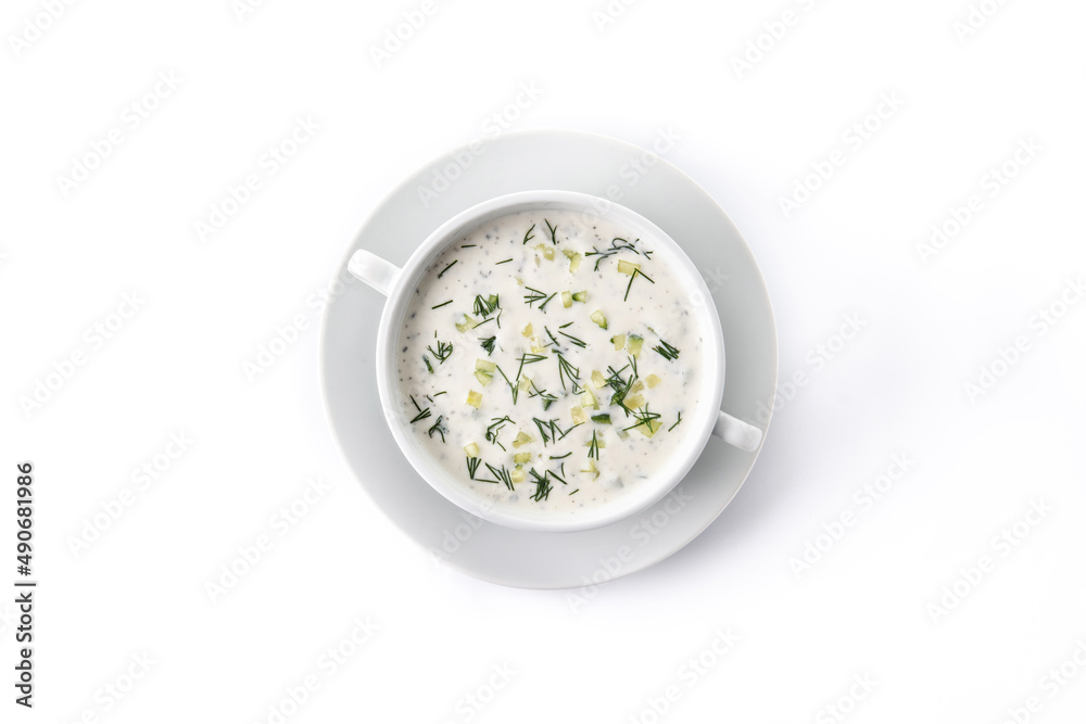 Bulgarian tarator sour milk soup in bowl isolated on white background. Top view. Bulgarian tarator sour milk soup in bowl isolated on white background. Top view.