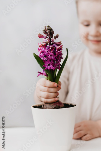 A child with flowers. the child takes care of the flowers. Flowers for Mom. Purple flowers. Geocints. Friendship with nature. A blond boy. A boy with a smile. The hands of a child. photo