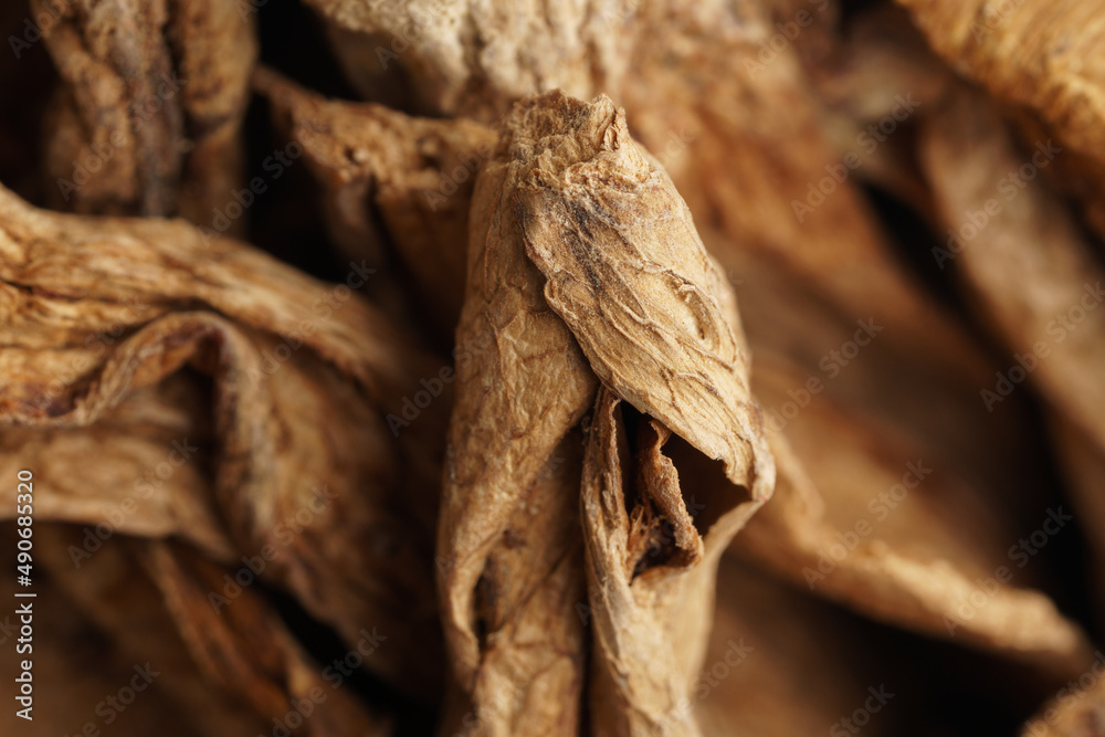 Dried mushrooms macro shot, overhead view. Dried mushrooms macro shot, overhead view.
