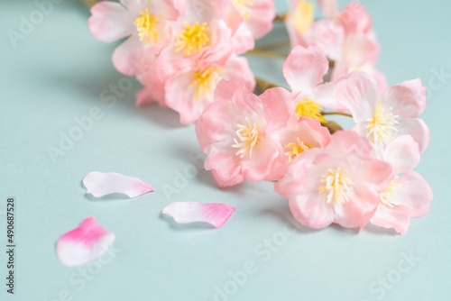 【背景素材】桜の花　
