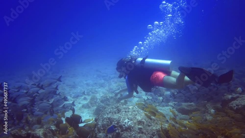 underwater seascape with woman who haunting the flock of silver fishes.Maldives