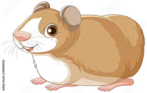 A Cute guinea pig on white background