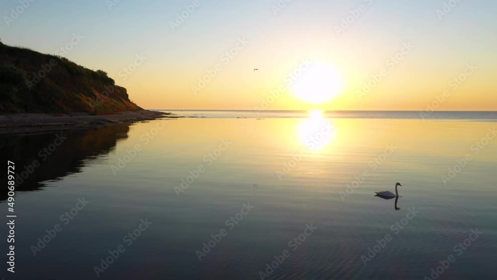 Close-up, tracking shooting of a swan on a sunny path, against the rising sun from the sea. Beautiful sea sunrise near the coast of the village of Krapets, Bulgaria. 4K Close-up, tracking shooting of a swan on a sunny path, against the rising sun from the sea. Beautiful sea sunrise near the coast of the village of Krapets, Bulgaria. 4K
