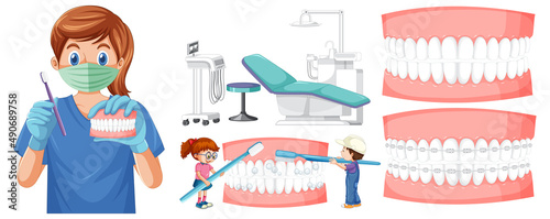 Set of all types of teeth on white background