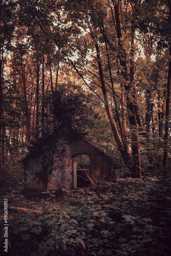 Lost Place Cabin in the woods! Ruine, zerfallene Gemäuer mit stimmungsvoller, creepy Atmosphäre. Verlassenes, gruseliges Haus mitten in der Natur und von Pflanzen überwuchert.  photo