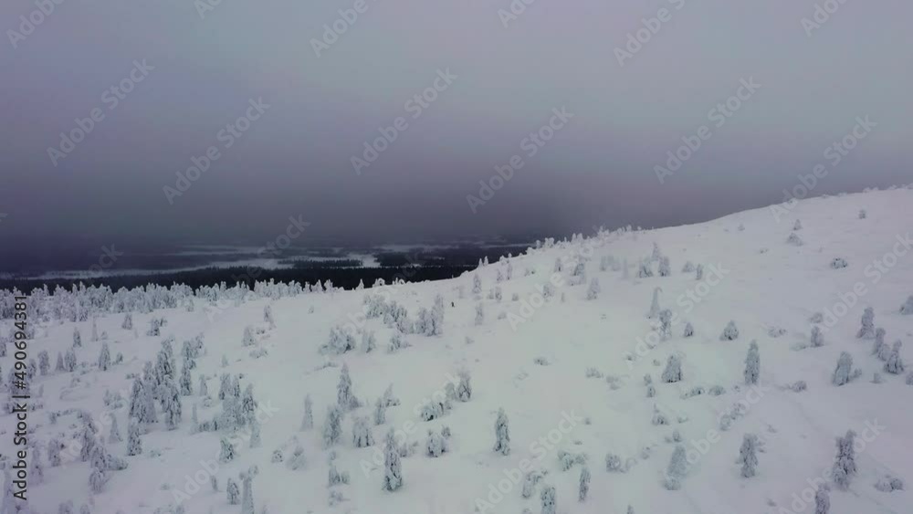 Aerial view overlooking snowy fell trees with arctic swamp background, dark, foggy day in Luosto, Lapland - circling, drone shot Aerial view overlooking snowy fell trees with arctic swamp background, dark, foggy day in Luosto, Lapland - circling, drone shot