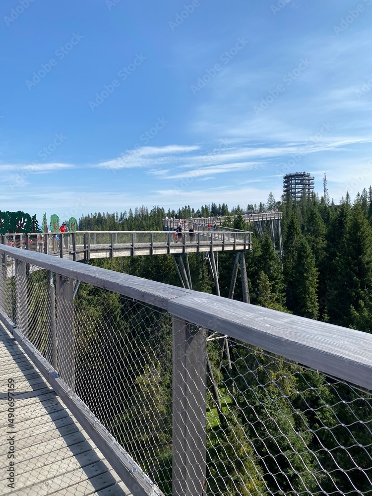 Obraz premium Bachledova dolina, walking on the trees