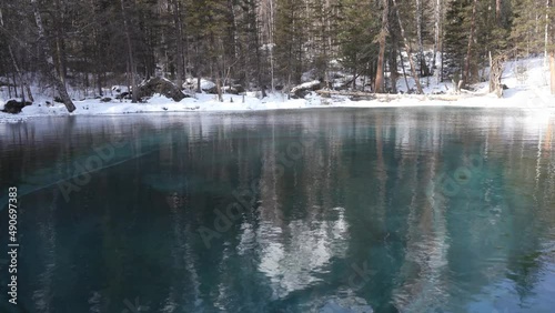 The amazing ice-free geyser lake is surrounded by snow-covered wooded shores. Blue clay rises from the bottom and spreads in circles over the turquoise water. Sun glare on the surface. Altai