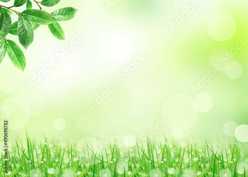 光に反射する美しい露の玉の付いた春の若草と植物のぼやけた緑の爽やかシンプルイラスト素材