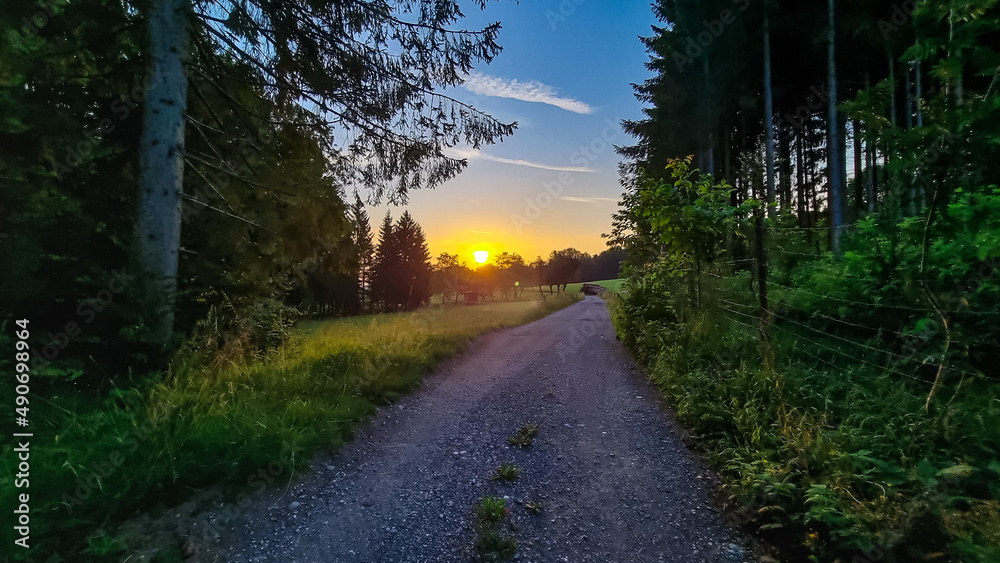 Naklejka premium Hiking trail in early morning haze in the Karawanks in Carinthia, Austrian Alps. Narrow road leading to high mountains through a meadow. Borders Austria, Slovenia, Italy. Sky is pink. Daybreak.Sunrise