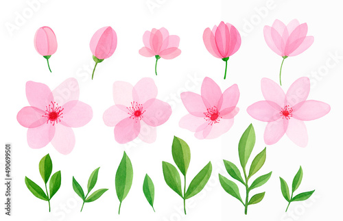 Wallpaper Mural Set of watercolor flowers and leaves. Pink. Green. Torontodigital.ca