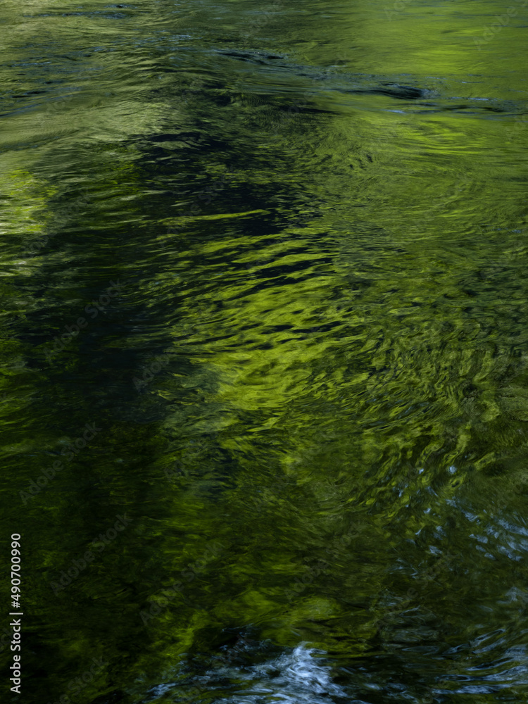 新緑を映し深い緑色に染まる川面（縦）