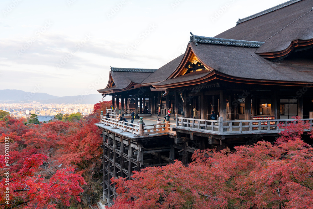 Naklejka premium [京都]紅葉の清水寺舞台の風景