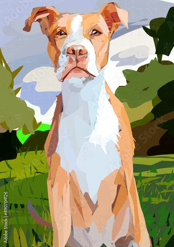 Foto Dog portrait