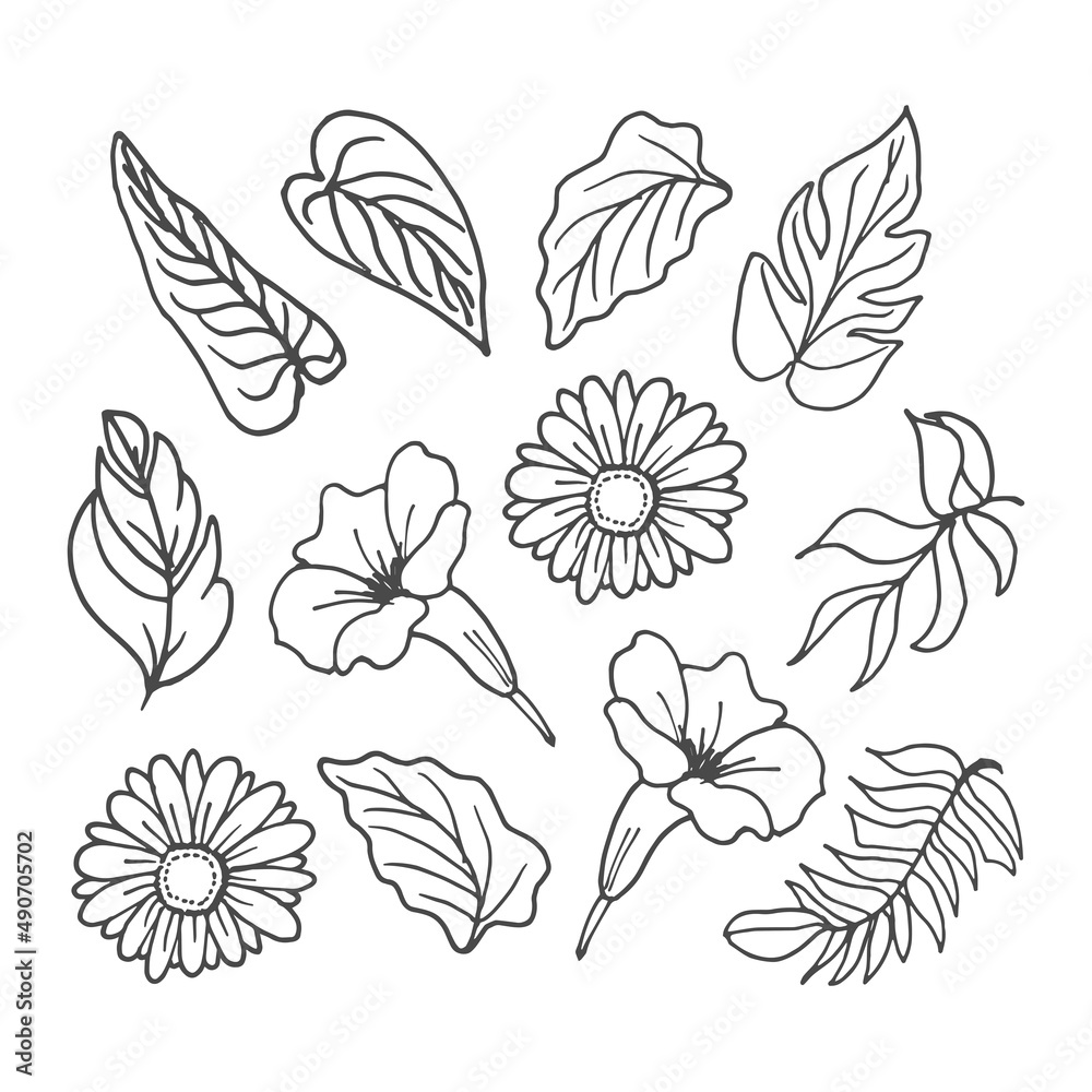 set of leaf and flower illustration isolated on white background. beautiful wedding ornament. black and white colors. monocohrome style. hand drawn vector. poster, sticker, clipart, poster, decoration