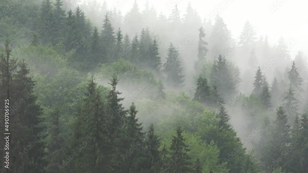 Fog in Mountains, Clouds Heavy Rainy Day, Cloudy Mystical Foggy Forest, Stormy Mist Haze Smoke, Alpine Wood Overcast Landscape Fog in Mountains, Clouds Heavy Rainy Day, Cloudy Mystical Foggy Forest, Stormy Mist Haze Smoke, Alpine Wood Overcast Landscape