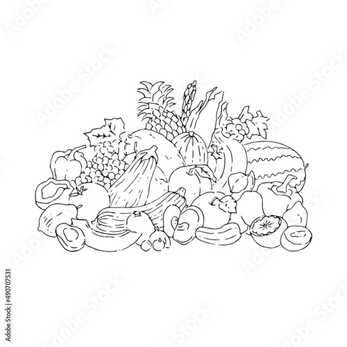  fruits ink line art illustration photo