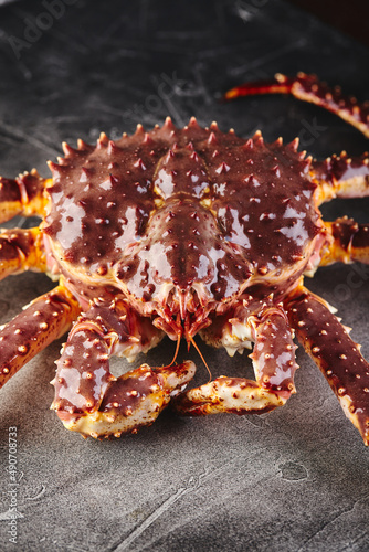 Live king crab on gray background close-up