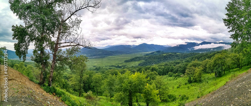 A forest standing by the rocks, overlooking the Alpine meadows. The Lago-Naki plateau in Adygea. Russia. 2021