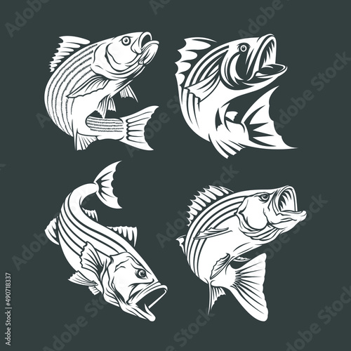 Hand drawn set jump fish for logo company illustration