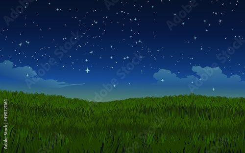 night sky in meadow with stars