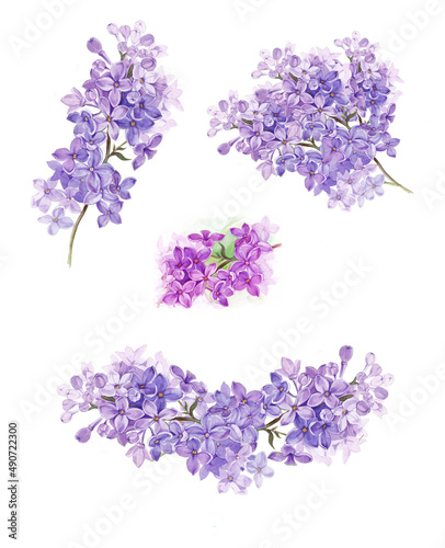 Set of different branches of lilac. Wreath of lilac .Watercolor illustration.