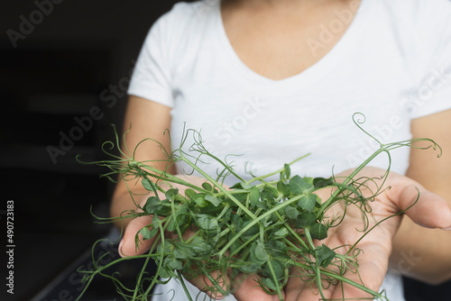  Micro greens at caucasian woman hands, close up. Healthy organic eco food. Black background. 