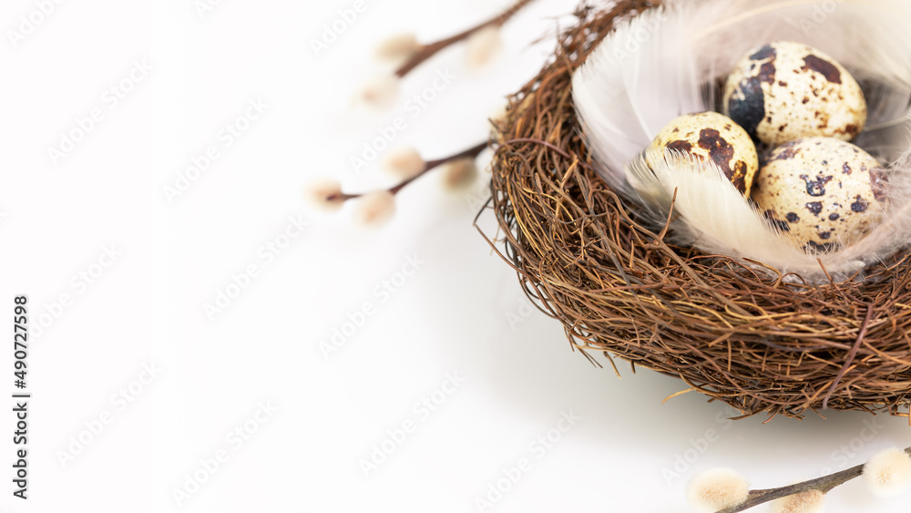Eggs and feathers in a nest on a white background with willow twigs Eggs and feathers in a nest on a white background with willow twigs