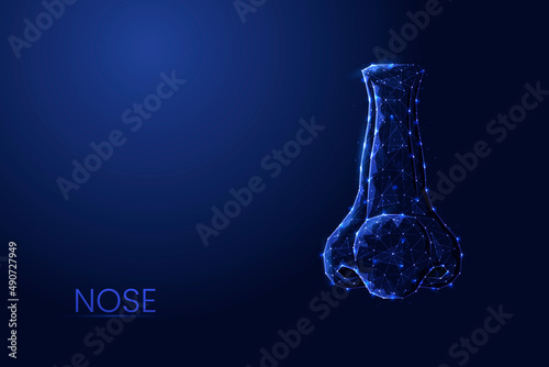 Human nose low poly concept vector illustration.