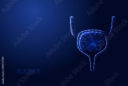 Human bladder low poly concept vector illustration.