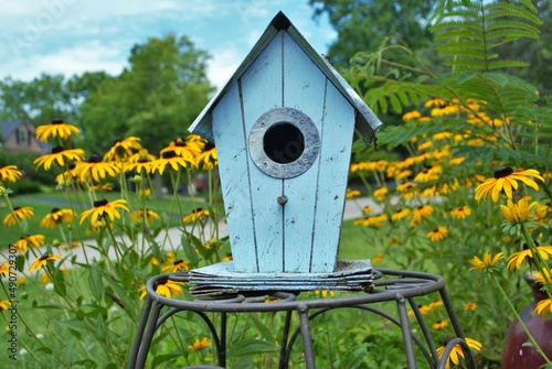 Blue decretive birdhouse surrounded by black eyed Susan flowers photo