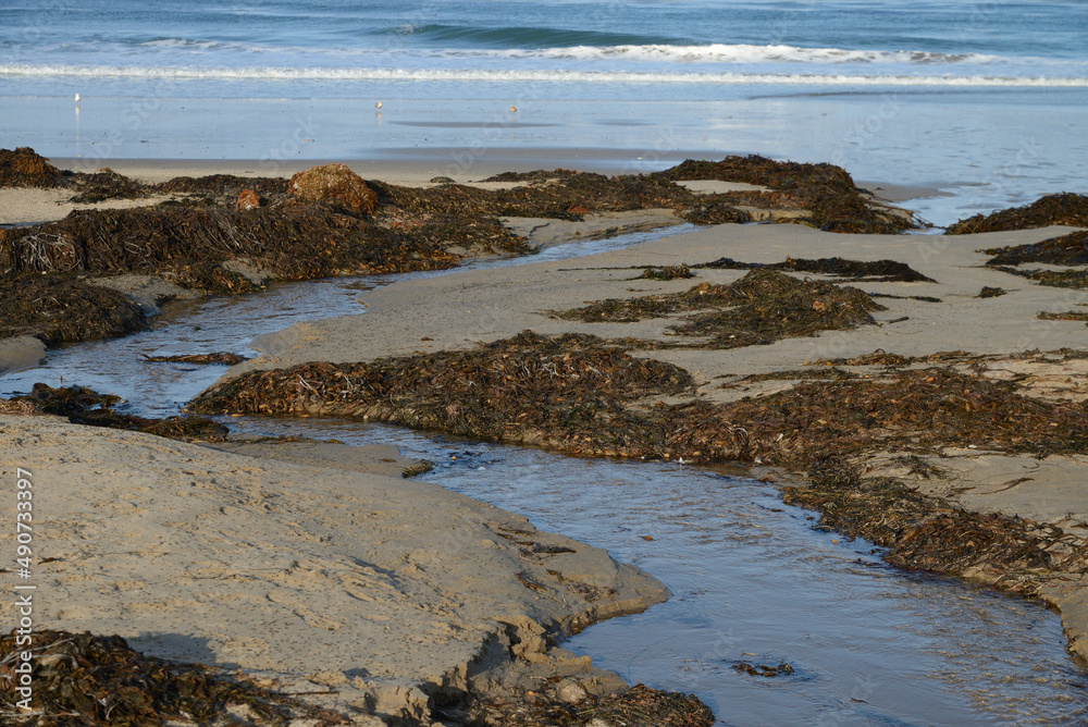 Small stream flows into Pacific Oceab. Small stream flows into Pacific Oceab.