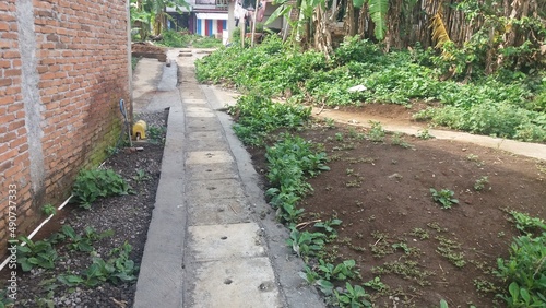 path in the garden