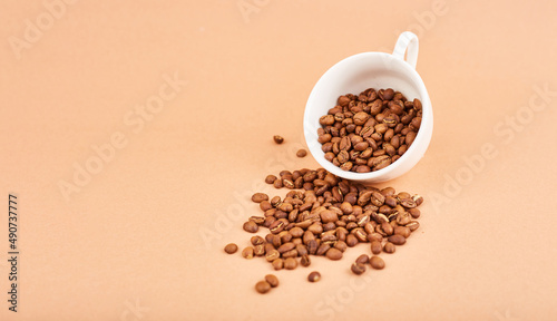 Coffee beans in coffee cup on pastel background. Space fot text