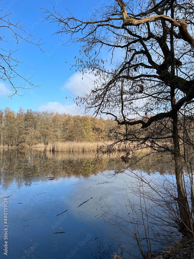 Obraz premium Panketal, Pankow, Brandenburg, Barnim, Wald, Hobrechtsfelde, Frühling, Wanderung, Bucher Forst,