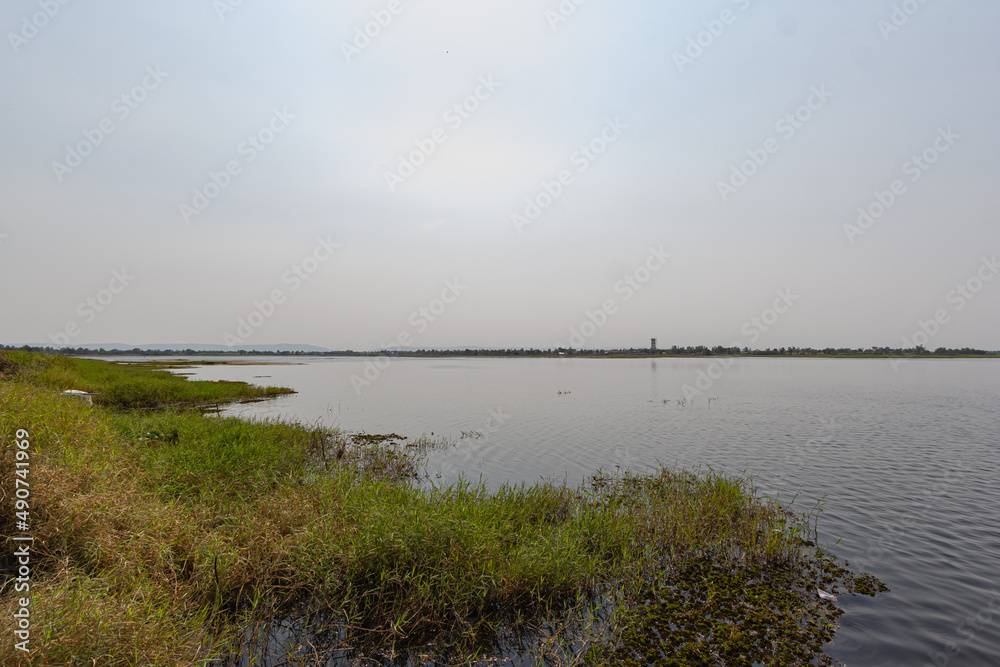 The edge of the reservoir with green grass grows.