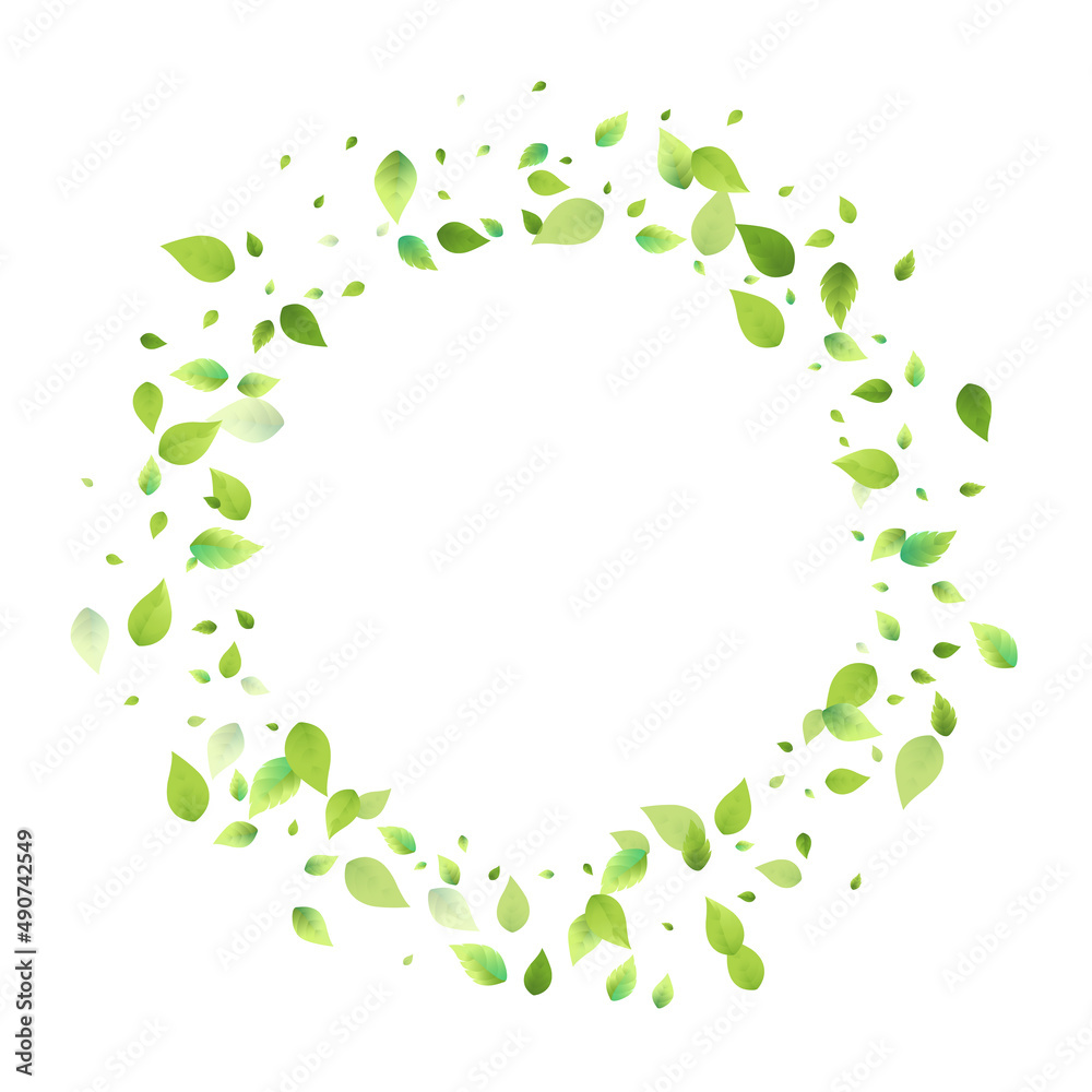 Leaves Green Falling Flying Foliage Leaf Tea Mint Leaves Green Falling Flying Foliage Leaf Tea Mint