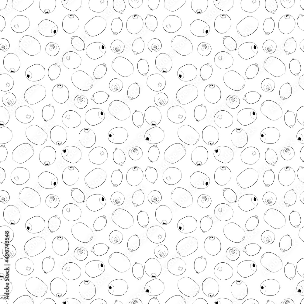 Kiwi isolated on white background with clipping path. A set of seamless patterns with kiwi. Vector graphics, 1000x1000.