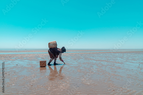 Seashell Finder Manually Using A Knife When The Talisay Beach Recedes photo