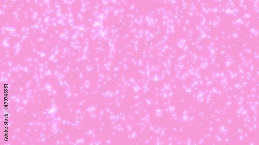 桜吹雪 舞い落ちる桜の花びらのパーティクル ピンク背景 桜吹雪 舞い落ちる桜の花びらのパーティクル ピンク背景
