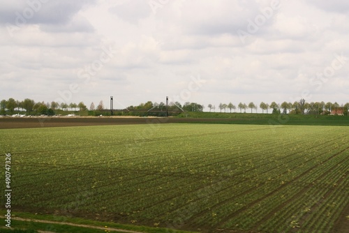 Campos de cultivo en las zonas rurales de los paises bajos. Fotografía tomada desde el tren cerca de la isla de Dordrecht. © AngelLuis