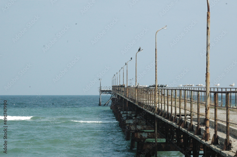 Pier with Line of Seabirds