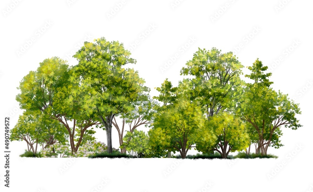 Tổng hợp hơn 400 Background tree elevation Chất lượng cao, đa dạng chủ đề
