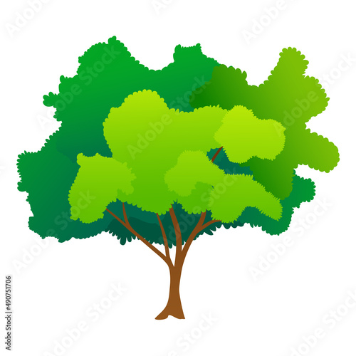 Green tree cartoon vector illustration. Spring time tree isolated on white. Natural forest plant. Ecology garden template.