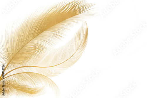 Golden feathers on an isolated background. Wallpaper with feathers.
