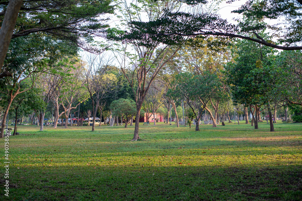 Obraz premium Beautiful nature at morning with sun in big city park