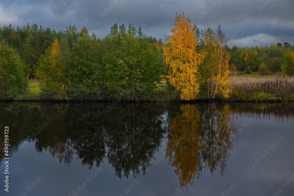 Russia. Republic of Karelia. Autumn colors on the shore of Lake Ladoga near the city of Sortavala.
