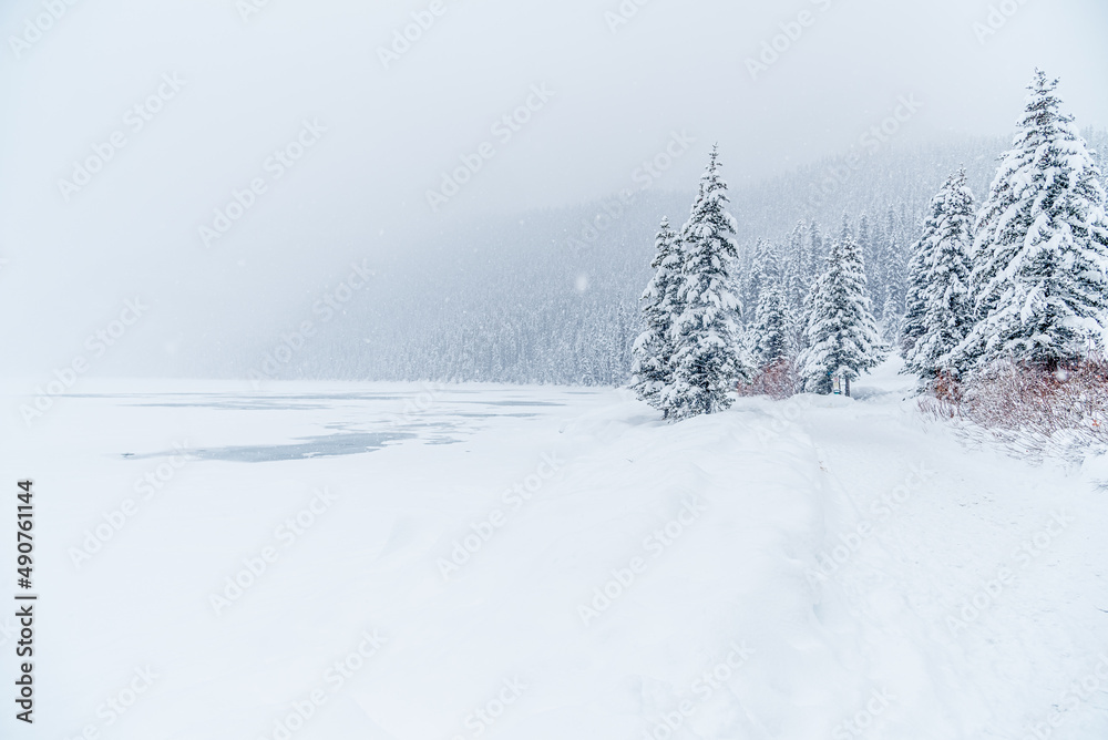 Fototapeta premium Lake Louise in Banff Park