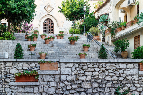 Set of stone steps with decorative potted plants © Serjedi
