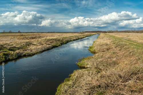 A small river that flows through the meadows, Czulczyce, Poland